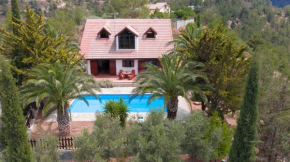 Hotels in Gourri